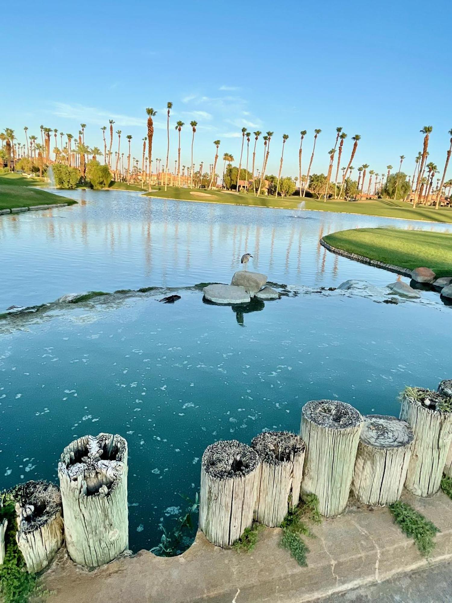 The View! Palm Desert Country Club Villa מראה חיצוני תמונה